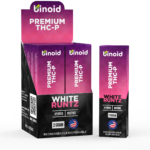 THC-P Rechargeable Disposable Vape