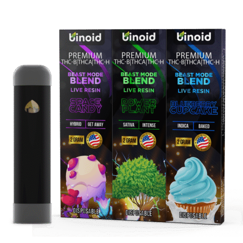 3 Pack HowToGetNearMe BestPlace LowestPrice Coupon Discount For Smoking Best High Smoke Shop Online Near Me Binoid.