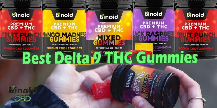 Best Delta 9 THC Gummies: Top 5 Strongest Delta 9 Edibles