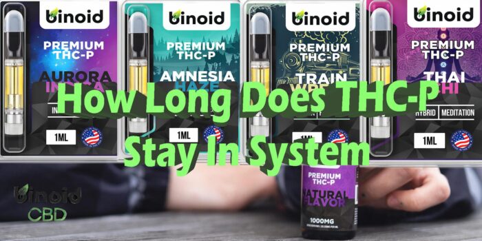 How Long Does Thc-p High Last How Long Does THC-P Stay In Your System?