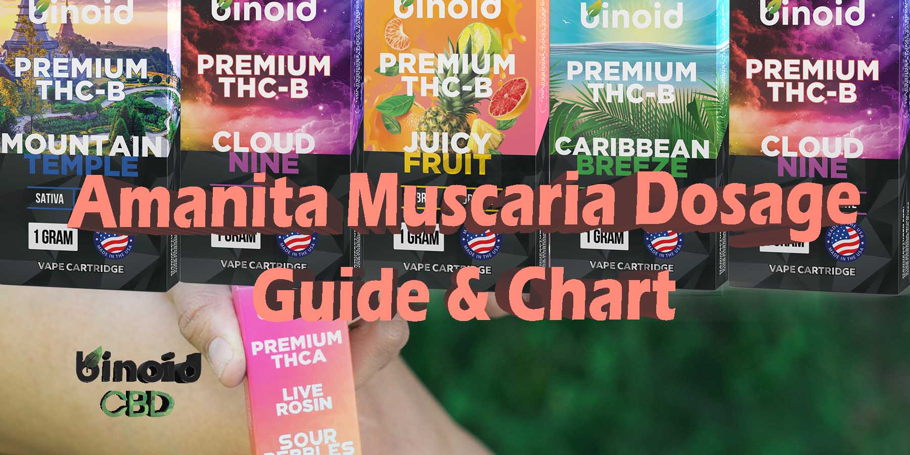 Amanita Muscaria Dosage How Much To Take Overdose Legal State By State List Effects Strength Benefits Legality Drug Test Health Safety Potency Safe