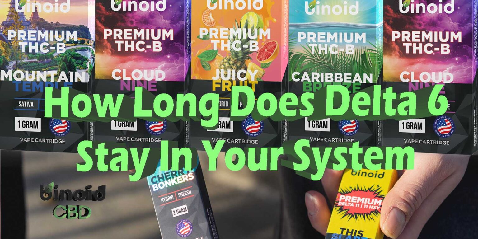 How Long Does Delta 6 THC Stay In Your System?