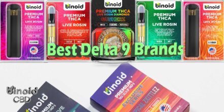 Does CBD Gummies Go Bad? Understanding Shelf Life & Freshness