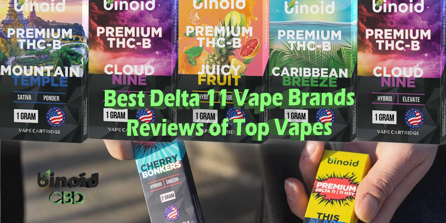 Best Delta 11 Vape Cart Brands Reviews of Top Vapes
