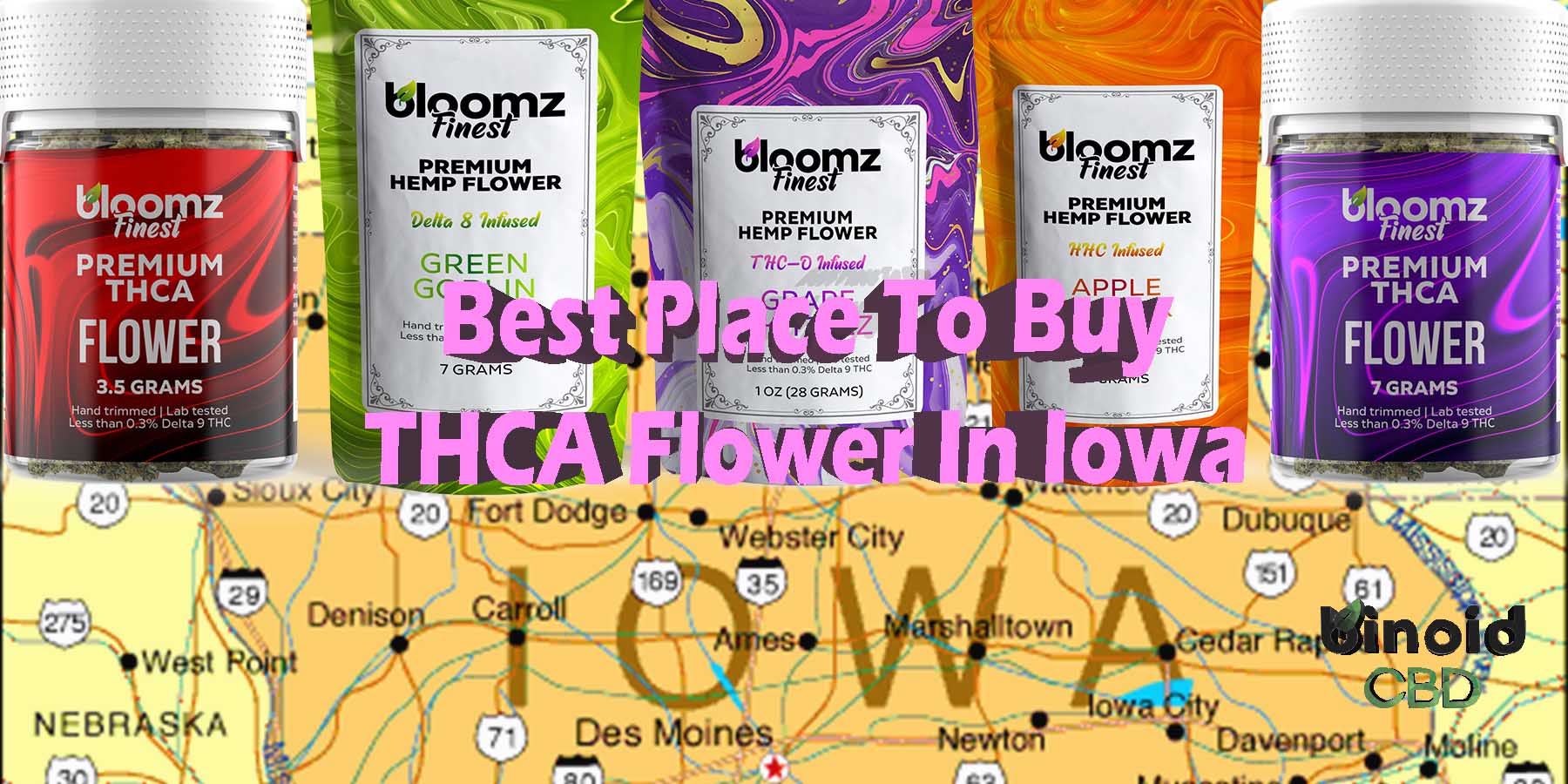 Best Place To Buy THCA Flower In Iowa What Is THCA Flower Made PreRolls Where To Get Near Me Best Place Lowest Price Coupon Discount Strongest Brand