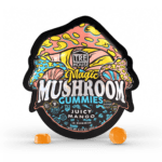 Trehouse Juicy Mango Gummies Mushrooms Strongest Binoid TreHouse Where To Get How To Get Near Me