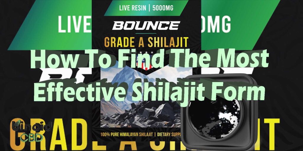 What Is The Purest and Most Effective Form of Shilajit?