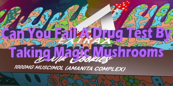 Magic Mushrooms Drug Test: Why You Will Fail