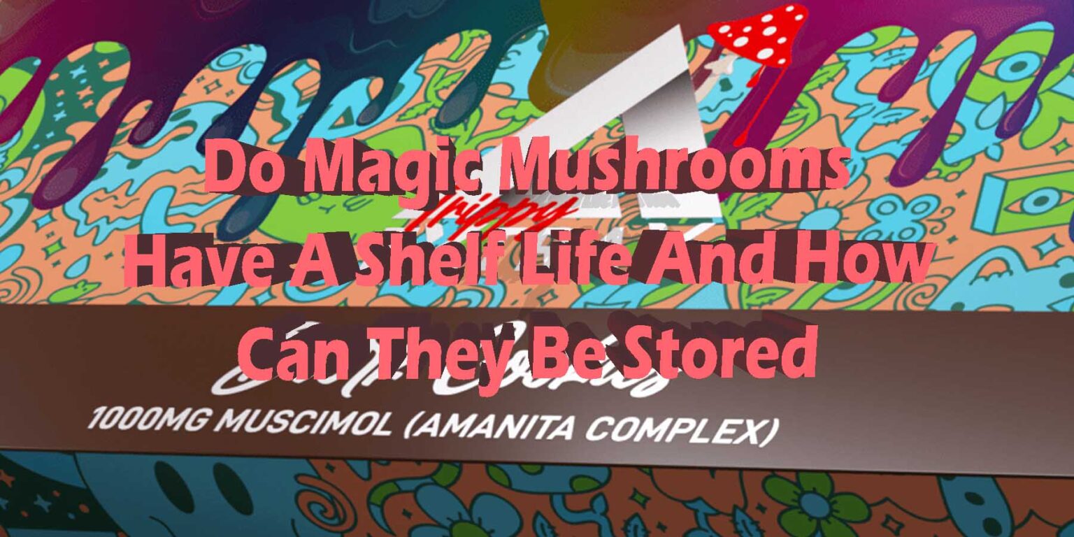 Magic Mushroom Shelf Life Expiration Date Explained