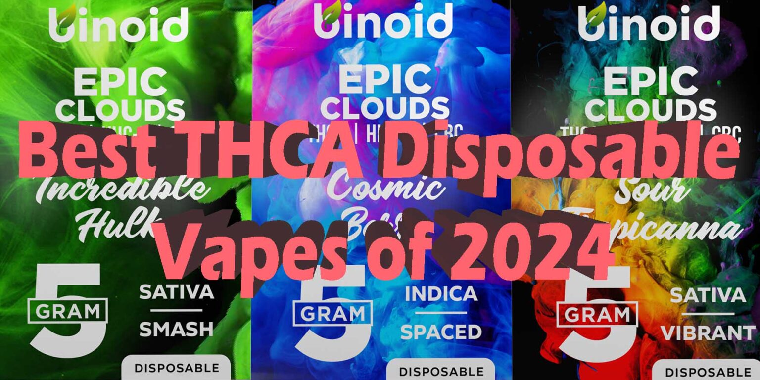 Best THCA Disposable Vapes 2024 Binoid CBD