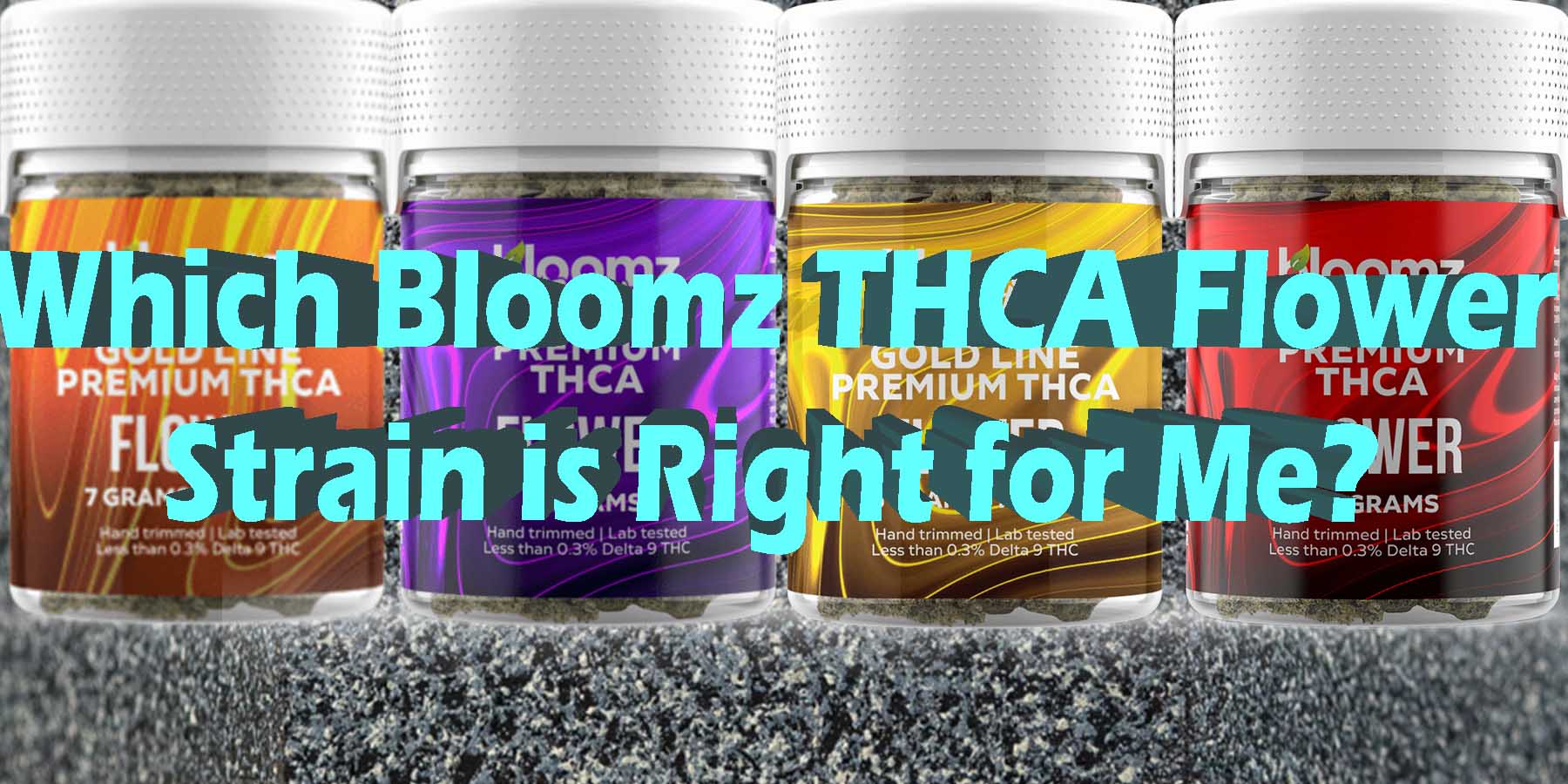 Which Bloomz THCA Flower Strain is Right for Me WhereToGet HowToGetNearMe BestPlace LowestPrice Coupon Discount For Smoking Best High Smoke Shop Online Near Me StrongestBrand Binoid