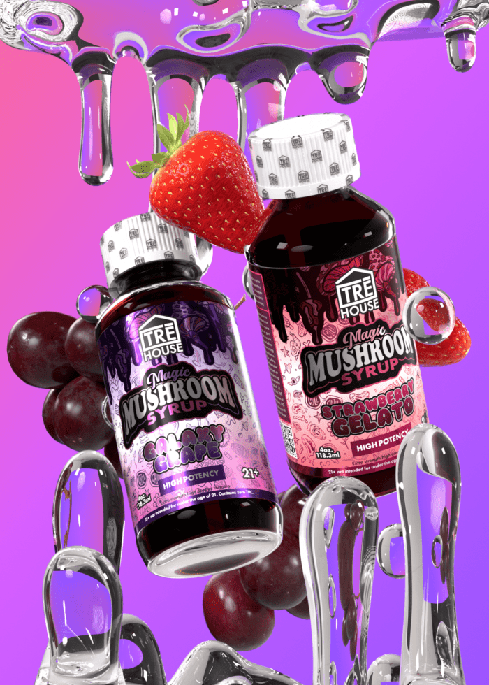 Mushroom Syrup - Trehouse - Image 4