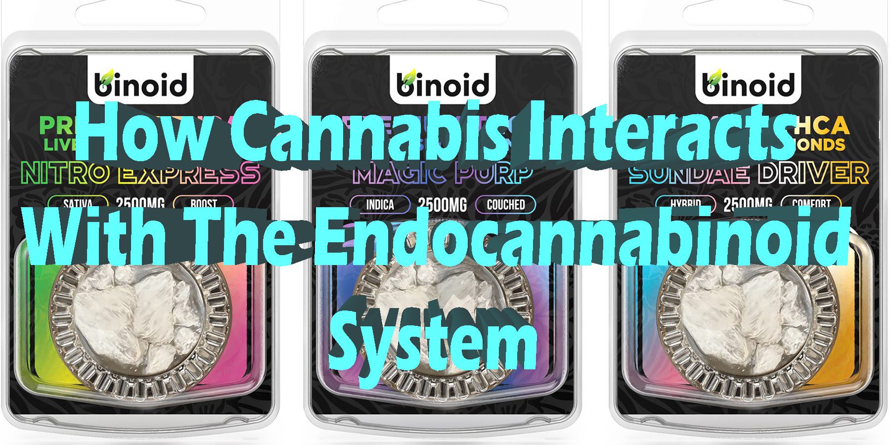 How Cannabis Interacts With The Endocannabinoid System Information Guide HowToGetNearMe BestPlace LowestPrice Coupon Discount For Smoking Best Brand