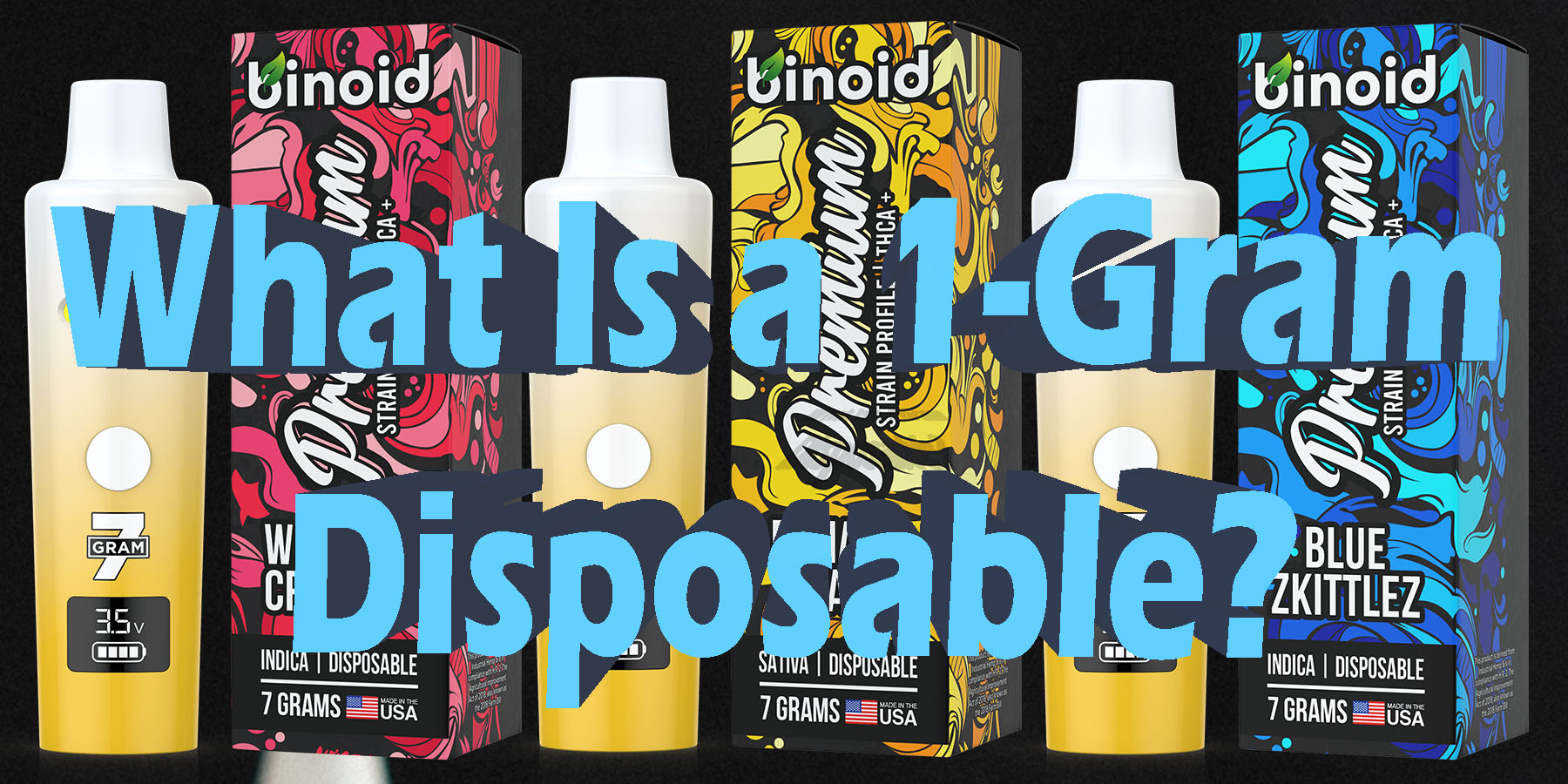 What Is a 1 Gram Disposable HowToGetNearMe BestPlace LowestPrice Coupon Discount For Smoking