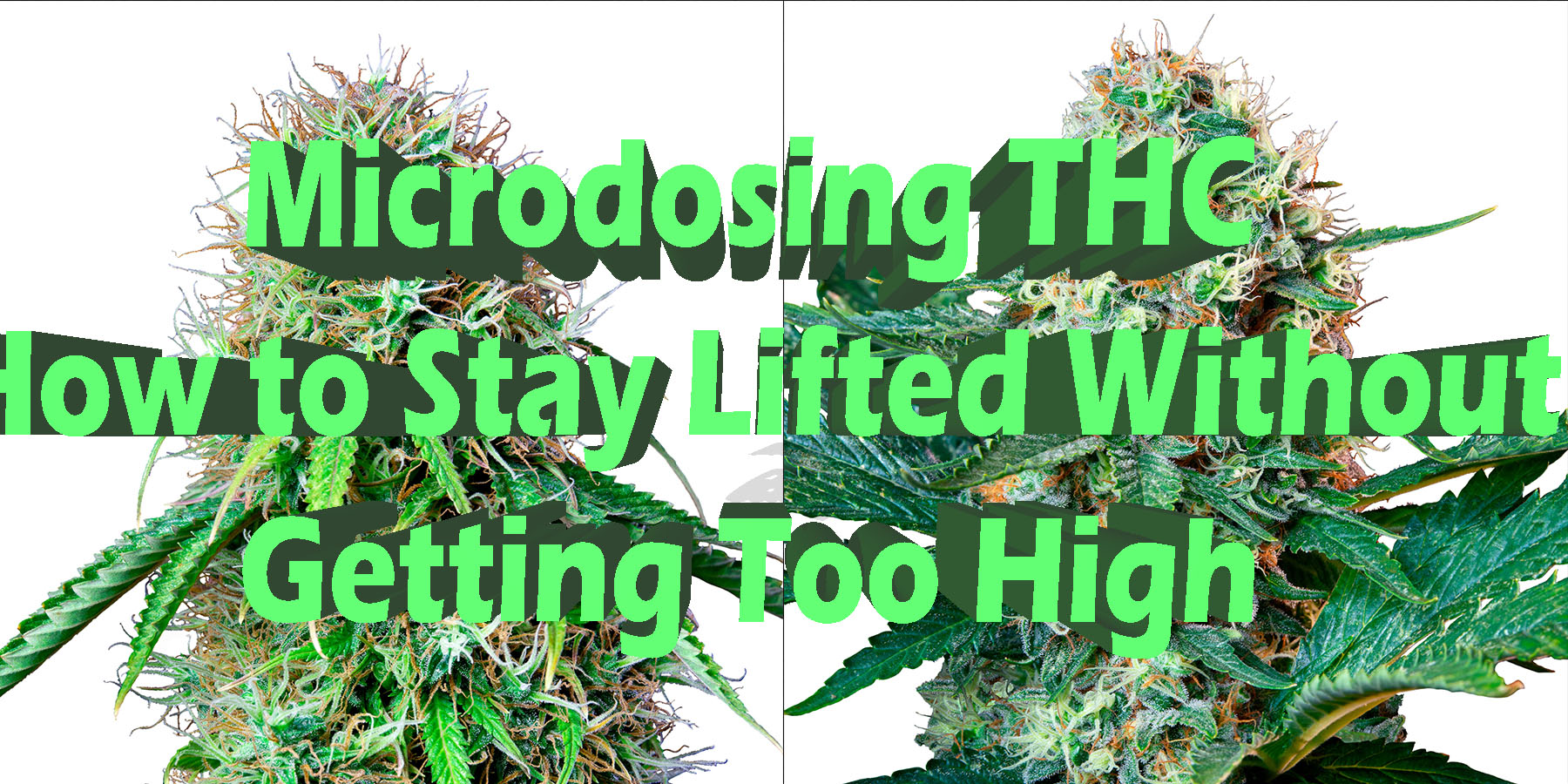 Microdosing THC How to Stay Lifted Without Getting Too High HowToGetNearMe BestPlace LowestPrice Coupon Discount For SmokingUnder Control Binoid