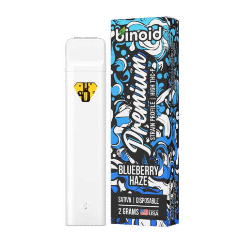 Blueberry Haze HowToGetNearMe BestPlace LowestPrice Coupon Discount For Smoking Best High Smoke Shop Online Near Me Binoid